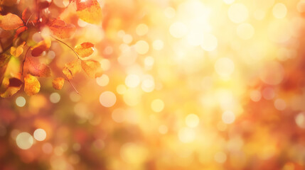 autumn seasonal abstract background with bokeh fall golden orange red backdrop leaves in the park leaves in the sun