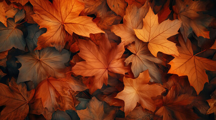 seasonal autumn leaves on the ground background fall backdrop orange yellow gold red maroon burgundy green drying