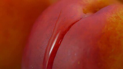 super close-up of a drop of water flowing down the side of a ripe red juicy peach. high quality 4k f