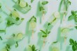 © Victor Bertrand - Refreshing popsicles with lime and mint scattered on a light green background, exuding a cool, summer vibe.