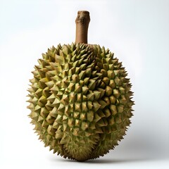 A durian fruit isolated on white background.