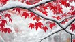 © Intania - Snow-Covered Branch with Red Maple Leaves