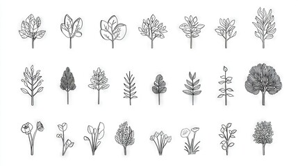 Canvas Print -   A variety of plants on a white background with a black and white illustration of various plant species