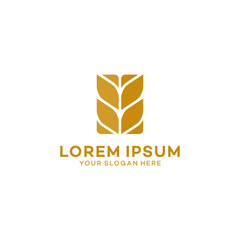 Luxury Grain wheat logo concept, Agriculture wheat Logo Template vector icon