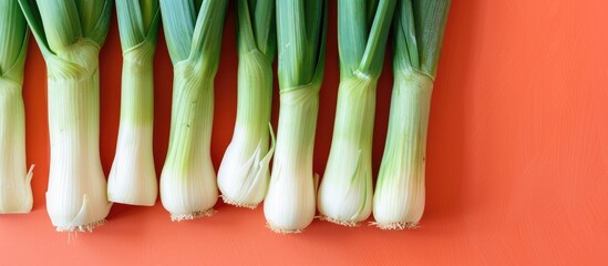 Wall Mural - Leeks Vegetable Closeup Isolated On Orange Background