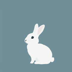 Poster - Minimalist White Rabbit on Solid Color Background