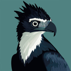 Stylized Portrait of a Black Hawk with Vibrant Detail