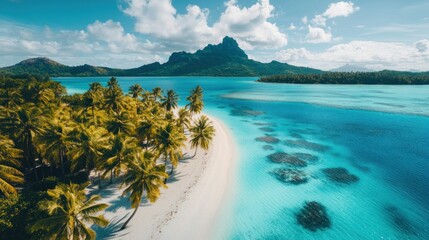 Canvas Print - Tropical Paradise: Aerial View of a Pristine Island