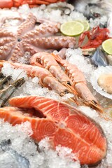 Poster - Fresh salmon steak, whole raw octopus and other sea food on ice, closeup