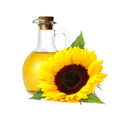 Wall Mural - Cooking oil in glass jug and bright sunflower isolated on white