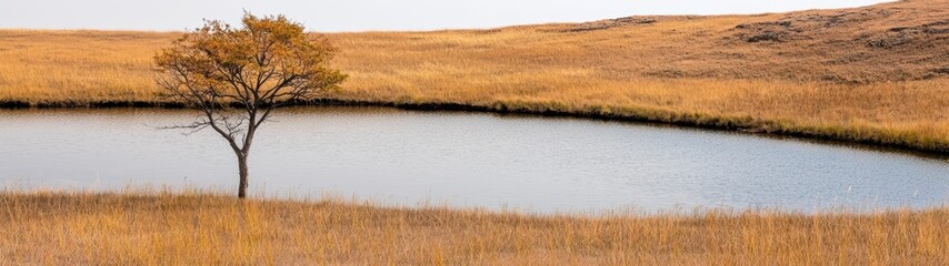 Sticker - Serene landscape with lone tree by lake