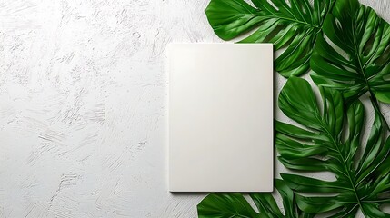 Wall Mural - A white background with green monstera leaves frames a blank paper, perfect for a mockup.