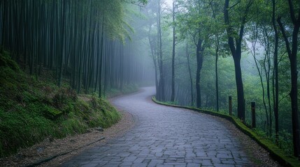 Sticker - A misty path winds through a serene bamboo forest, inviting exploration and tranquility.