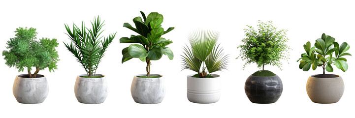 a row of potted plants with different sizes and shapes