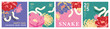 © littleWhale - Set of 2025 Chinese new year, year of the snake template design with white snakes and beautiful flowers background. Chinese translation: Snake