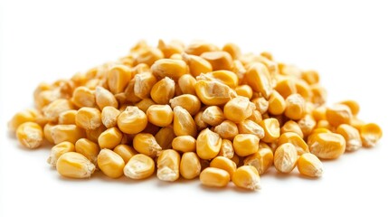 A close up pile of organic Corn Seeds (Zea mays) or Makka isolated on a white background. Top view