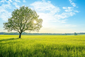 Wall Mural - Green grass field lawn with tree and blue sky Green Meadows Beautiful Journey Through Nature Great as a background, web banner , ai