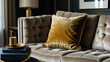 © Arceli - Gold trimmed velvet cushion resting on a sleek minimalist sofa in a living room