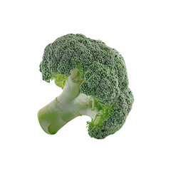 Fresh Green Broccoli