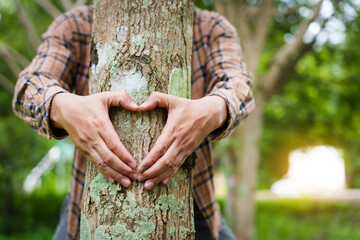 Wall Mural - Forest conservationist forms heart shape with their hands around a tree trunk in a peaceful park. love for nature, commitment to environmental protection, importance of sustainable ecosystems.