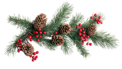 Wall Mural - christmas composition with fir branches, red berries, and pine cones on white background