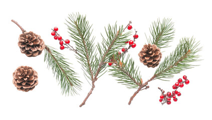 Wall Mural - christmas flat lay composition with pine branches, red berries, and pine cones on white background