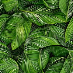 Wall Mural - Close-up of vibrant green leaves with white stripes.