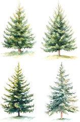 Wall Mural - watercolor christmas tree clipart, pine illustration on white background for children's book design