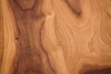 Wall Mural - Closeup of real black walnut wood texture with natural grain