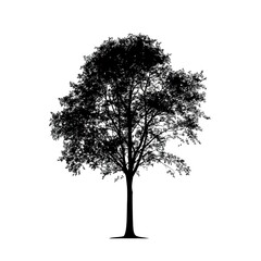 Poster - Tree | Minimalist and Simple Silhouette - Vector illustration on white background