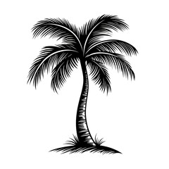 Poster - Palm tree vector design isolated on white background. Palm tree logo, icon, sign. Tropical palm tree illustration. 