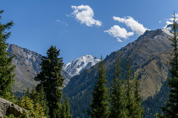 Wall Mural - Beautiful mountain landscape, forest and mountains in summer time. Valley in Kazakhstan.