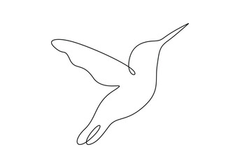 Wall Mural - Hummingbird in one continuous line drawing. Isolated on white background vector illustration