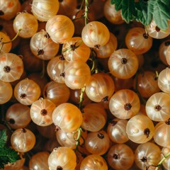 Wall Mural - White currant texture background, Ribes nigrum fruits pattern, whitecurrant mockup, white berry