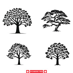 Sticker - Enchanting Sycamore Forest  Detailed Vector Silhouette Set