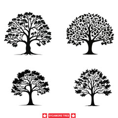 Sticker - Sycamore Shadows  Intriguing Vector Silhouette Set for Creatives