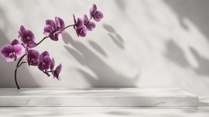 Wall Mural - Minimalist podium stage concrete textured white wall with shadow light and decoration orchidplant