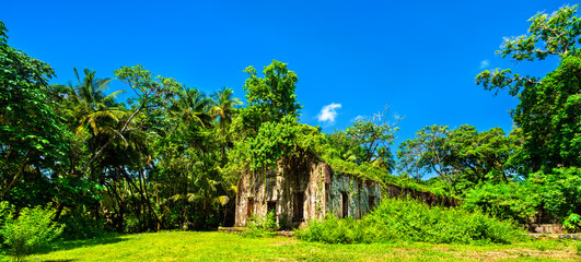 Canvas Print - Old ruins of notorious penal colony in Saint Joseph Island, Salvation Islands, French Guiana, South America