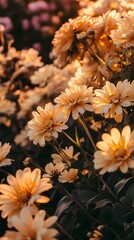 Poster - Soft, pastel yellow flowers bloom in the warm sunlight.