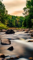 Poster - Tranquil river flows past smooth stones in a lush forest setting.