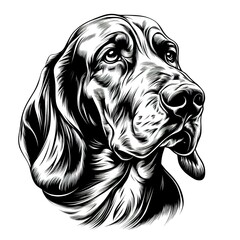 Sticker - Bloodhound | Black and White Vector illustration on white background