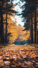 Wall Mural - Path through fall forest with golden leaves on the ground.