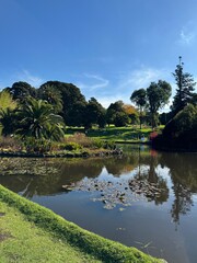 Pond/lake