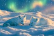 © DesignByGade - Two arctic foxes cuddle in the snow under a magical aurora borealis.