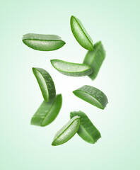 Wall Mural - Fresh aloe vera slices in air on light green gradient background