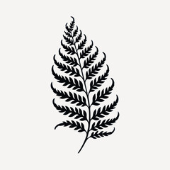 Wall Mural - Elegant black fern leaf illustration