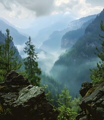 Wall Mural - Mountain Valley Mist and Fog