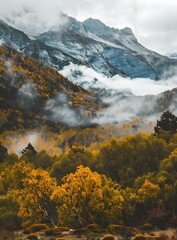 Wall Mural - Autumn Forest Landscape with Mountain and Fog