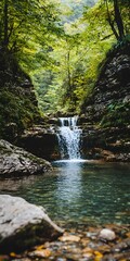 Wall Mural - Small Waterfall in Forest