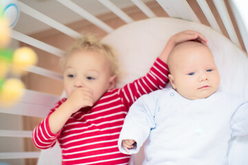 Wall Mural - child watching newborn baby in bassinet.